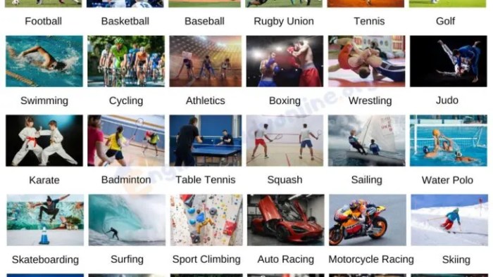 Every sport name in the world