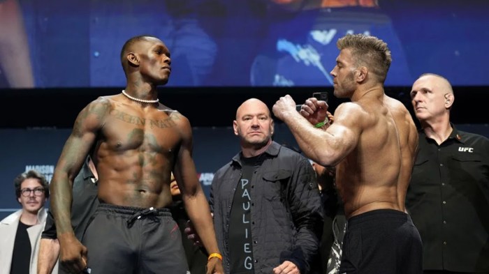Ufc middleweight champ dricus du plessis eyes israel adesanya fight in south africa