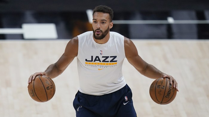 Wolves rudy gobert consulted jets aaron rodgers on nba offseason darkness retreat
