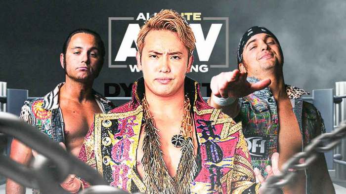 Okada the elite beat bryan team aew in anarchy in the arena at double or nothing