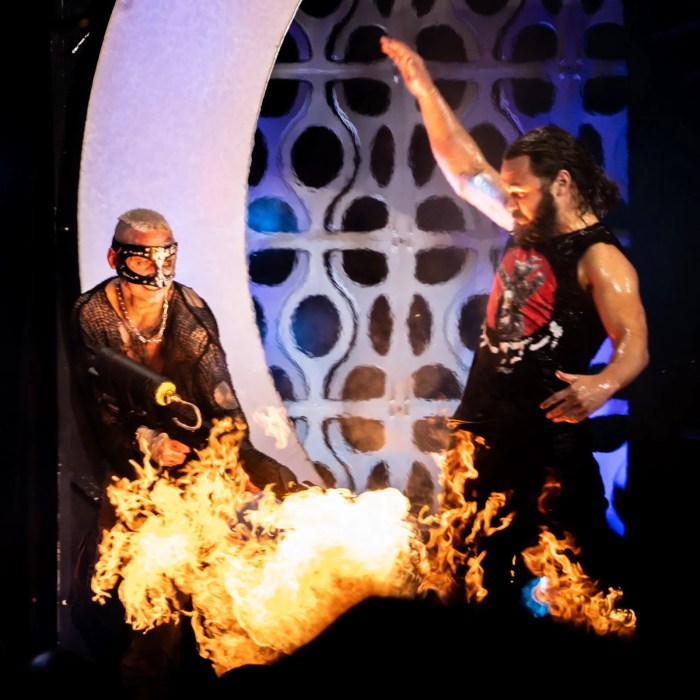 Okada the elite beat bryan team aew in anarchy in the arena at double or nothing