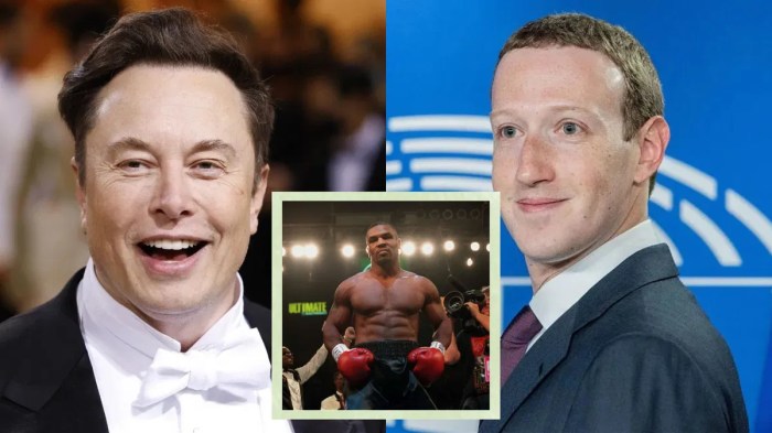UFC HoFer Drops the Reason for Elon Musk vs. Mark Zuckerberg Fight ... Mike tyson kyler murray mark zuckerberg among celebrities to attend ufc 300
