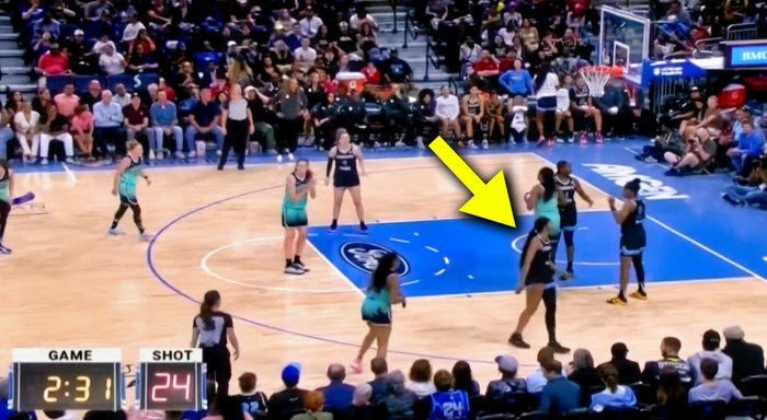 Angel reese ejected vs liberty bulls lonzo ball offers to pay wnba rookies fine