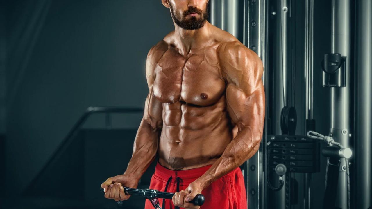 Exercise to increase muscle mass