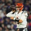 Higgins burrow bengals cincinnati