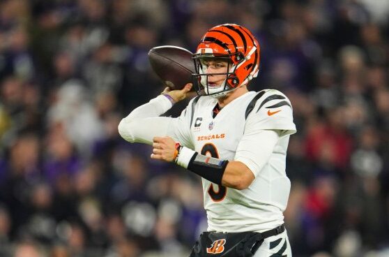 Higgins burrow bengals cincinnati