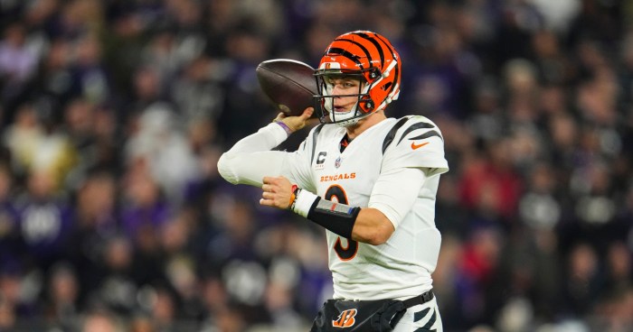 Higgins burrow bengals cincinnati