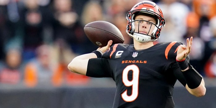 Bengals joe burrow says hes thought about his football mortality amid injury woes