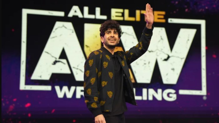 Tony khan talks aew njpw forbidden door taking a piledriver and the aftermath more