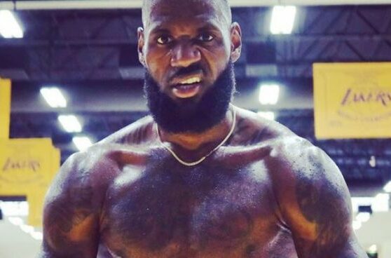 Lakers lebron james expected to play vs bulls after ankle injury darvin ham says