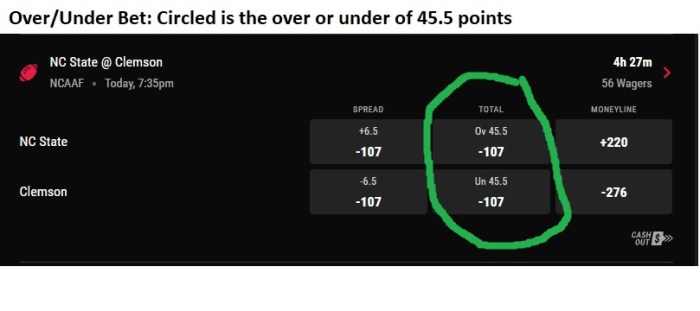 Best sports bets of all time