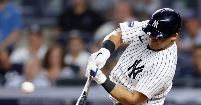 Yankees jasson dominguez out up to 8 weeks with significant injury boone says