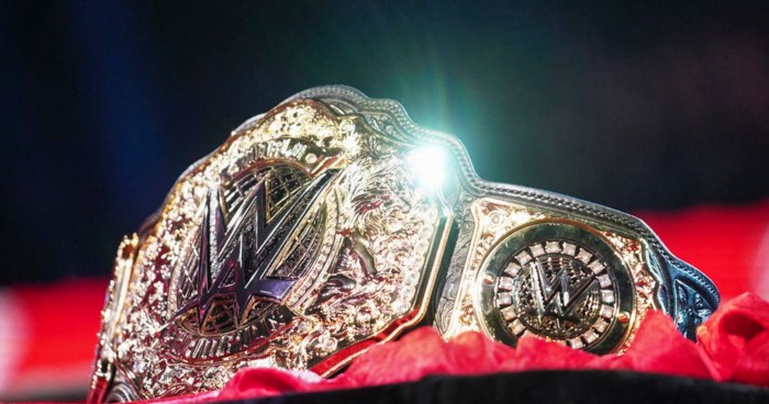 Rollins seth wwe delayed