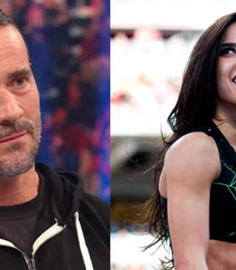 Cm punk recruiting aj lee pat mcafee in wwe 2k24 wwe rumors on deltas contract