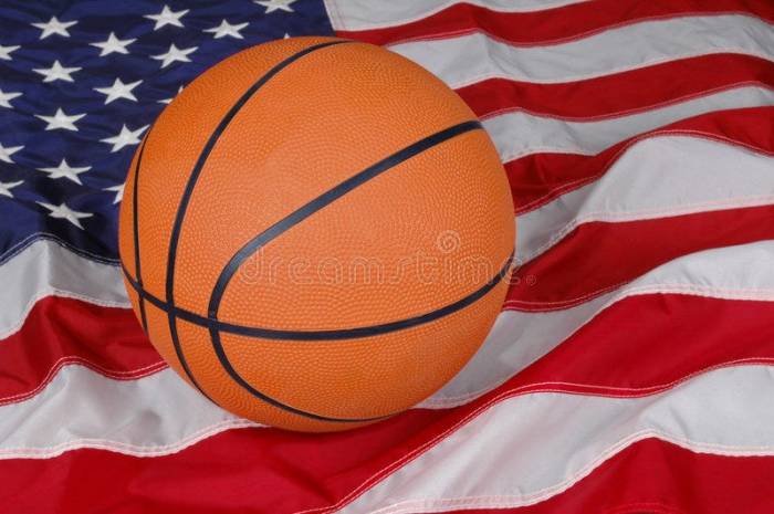Usa sports news paper