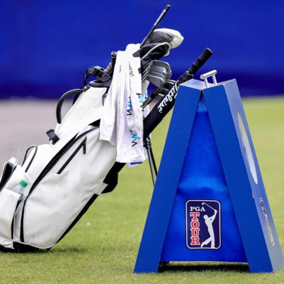 Report tiger woods to get 100m pga tour equity payout rory mcilroy could get 50m