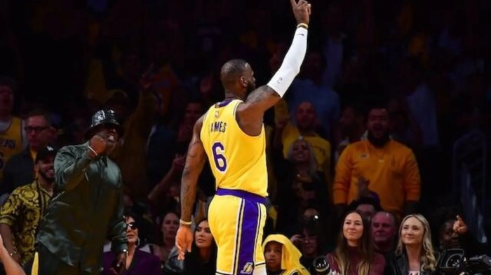 Lebron james electrifies nba fans as lakers end jalen brunson knicks win streak