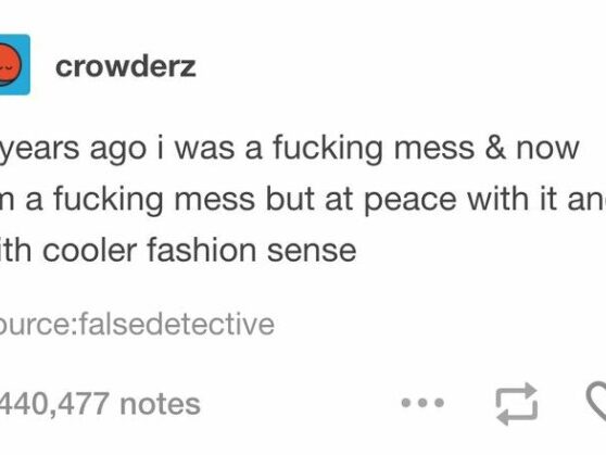 Mess am comments softwaregore