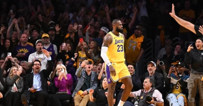 Lebron james electrifies nba fans as lakers end jalen brunson knicks win streak