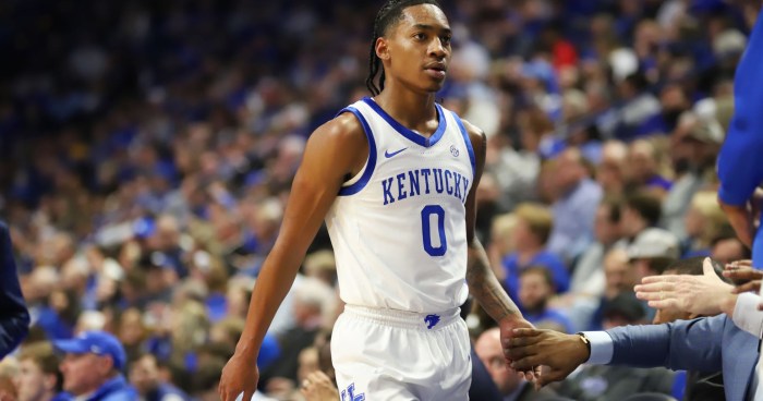Rob dillingham nba draft scouting report pro comparison updated timberwolves roster
