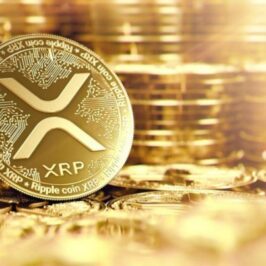 Xrp breaking news now