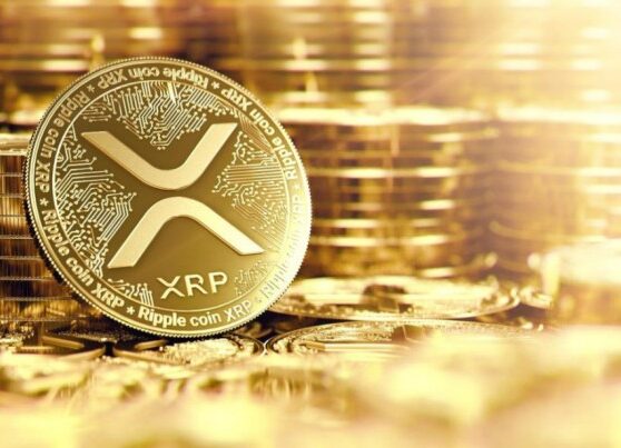 Xrp breaking news now