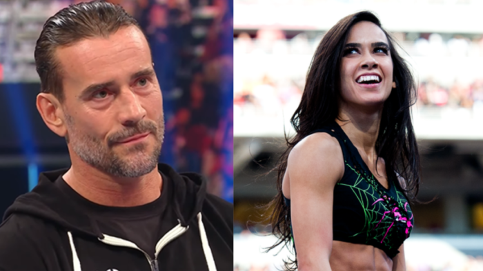 Cm punk recruiting aj lee pat mcafee in wwe 2k24 wwe rumors on deltas contract