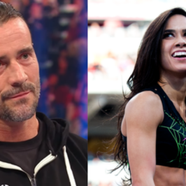Cm punk recruiting aj lee pat mcafee in wwe 2k24 wwe rumors on deltas contract