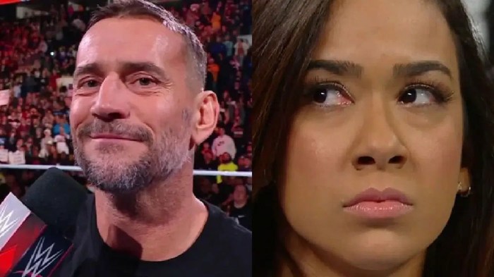 Punk aj cm lee wedding leaked day wwe pictures getty allegedly ufc online